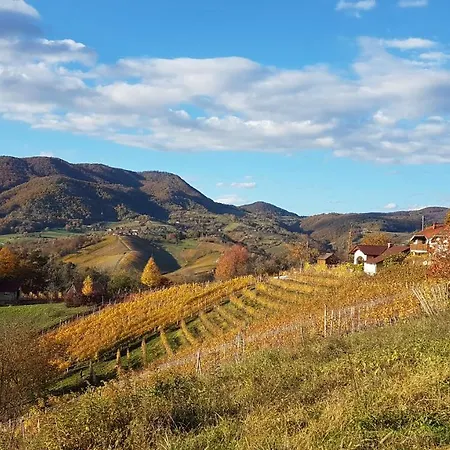 公寓 House Sumrak Bizeljsko