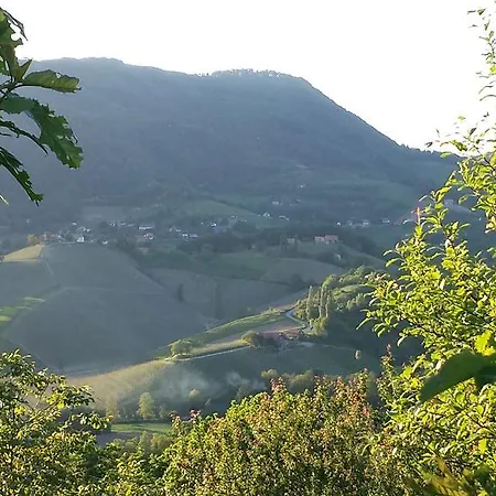 公寓 House Sumrak Bizeljsko