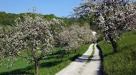 House Sumrak Apartmán *