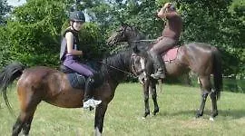 House Sumrak 公寓 *