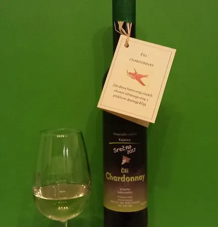 House Sumrak 公寓 Bizeljsko