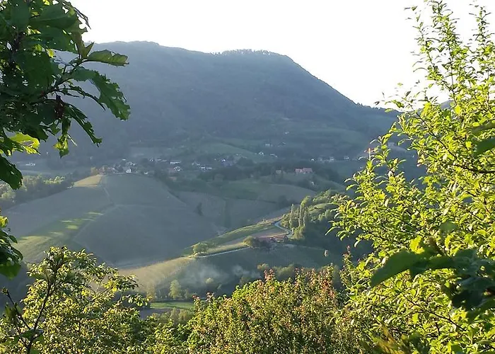 Apartma House Sumrak Bizeljsko