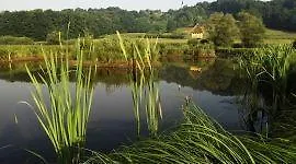 House Sumrak Bizeljsko