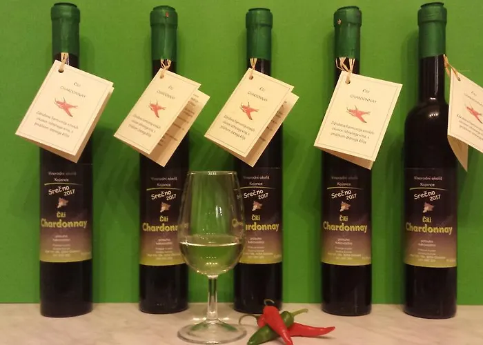 House Sumrak Apartma