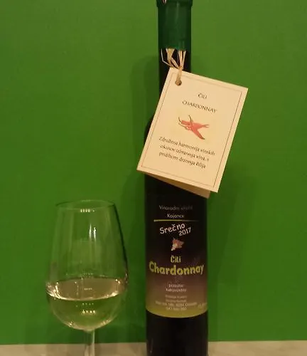 House Sumrak Apartma Bizeljsko